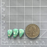 Small Mint Green Freeform Namtso Lake Turquoise, Set of 3 Dimensions