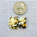 Medium Earth Brown Half Moon Treasure Mountain Turquoise, Set of 2 Dimensions