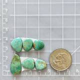 Small Sea Green Freeform Carico Lake Turquoise, Set of 6 Dimensions