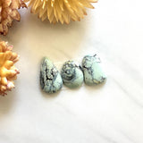 Small Faint Green Mixed Crescent Lake Variscite, Set of 3 Background