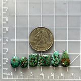 Small Bamboo Green Mixed Bamboo Mountain Turquoise, Set of 6 Dimensions
