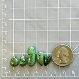 Small Sea Green Mixed Treasure Mountain Turquoise, Set of 5 Dimensions