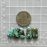 Medium Sky Blue Mixed Wild Horse Turquoise, Set of 5 Dimensions