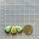 Medium Mint Green Teardrop Treasure Mountain Turquoise, Set of 3 Dimensions