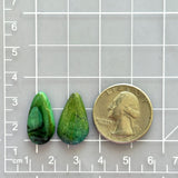 Medium Deep Green Teardrop Crescent Lake Variscite, Set of 2 Dimensions