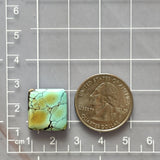 Large Mint Green Bar Giraffe Turquoise Dimensions