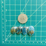 Medium Sky Blue Oval Ithaca Peak Turquoise, Set of 4 Dimensions