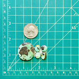 Medium Sea Green Freeform Carico Lake Turquoise, Set of 5 Dimensions