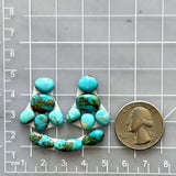 Small Mixed Mixed Mixed Turquoise, Set of 13 Dimensions