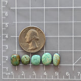 Small Mixed Freeform Kingman Turquoise, Set of 5 Dimensions
