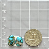 Small Sky Blue Freeform Blue Moon Turquoise, Set of 2 Dimensions