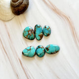 Small Sky Blue Mixed Pilot Mountain Turquoise, Set of 6 Background