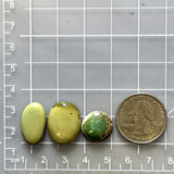 Medium Mixed Mixed Crescent Lake Variscite, Set of 3 Dimensions