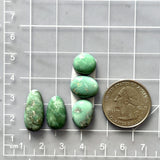 Small Mint Green Mixed Broken Arrow Variscite, Set of 5 Dimensions