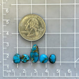 Small Ocean Blue Mixed Paiute Turquoise, Set of 5 Dimensions