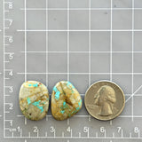 Large Sky Blue Freeform Royston Turquoise, Set of 2 Dimensions
