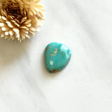 Large Sky Blue Freeform Royston Turquoise Background