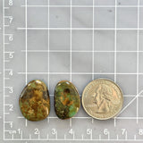 Large Earth Brown Freeform Royston Turquoise, Set of 2 Dimensions