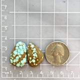 Large Sky Blue Mixed Number 8 Turquoise, Set of 2 Dimensions