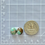 Small Mint Green Oval Mixed Turquoise, Set of 2 Dimensions