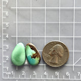 Medium Mint Green Teardrop Royston Turquoise, Set of 2 Dimensions