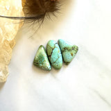 Medium Sea Green Mixed Crescent Lake Variscite, Set of 3 Background