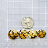 Small Earth Brown Round Treasure Mountain Turquoise, Set of 4 Dimensions