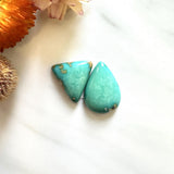 Large Mint Green Mixed Crescent Lake Variscite, Set of 2 Background
