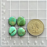 Small Sea Green Freeform Kingman Turquoise, Set of 4 Dimensions