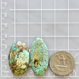 Large Sky Blue Oval Wild Horse Turquoise, Set of 2 Dimensions