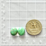 Small Sea Green Oval Lucid Variscite, Set of 2 Dimensions