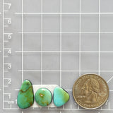 Small Sea Green Freeform Carico Lake Turquoise, Set of 3 Dimensions