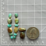 Small Mixed Mixed Tyrone Turquoise, Set of 14 Dimensions