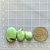Large Mint Green Mixed Crescent Lake Variscite, Set of 3 Dimensions
