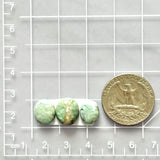 Small Faint Green Oval Lucid Variscite, Set of 3 Dimensions