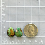 Small Sea Green Mixed Royston Turquoise, Set of 2 Dimensions