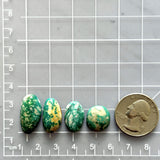 Small Deep Green Mixed Fox Turquoise, Set of 4 Dimensions