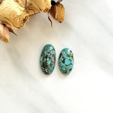 Large Sky Blue Oval Wild Horse Turquoise, Set of 2 Background