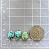 Medium Sky Blue Freeform Number 8 Turquoise, Set of 3 Dimensions