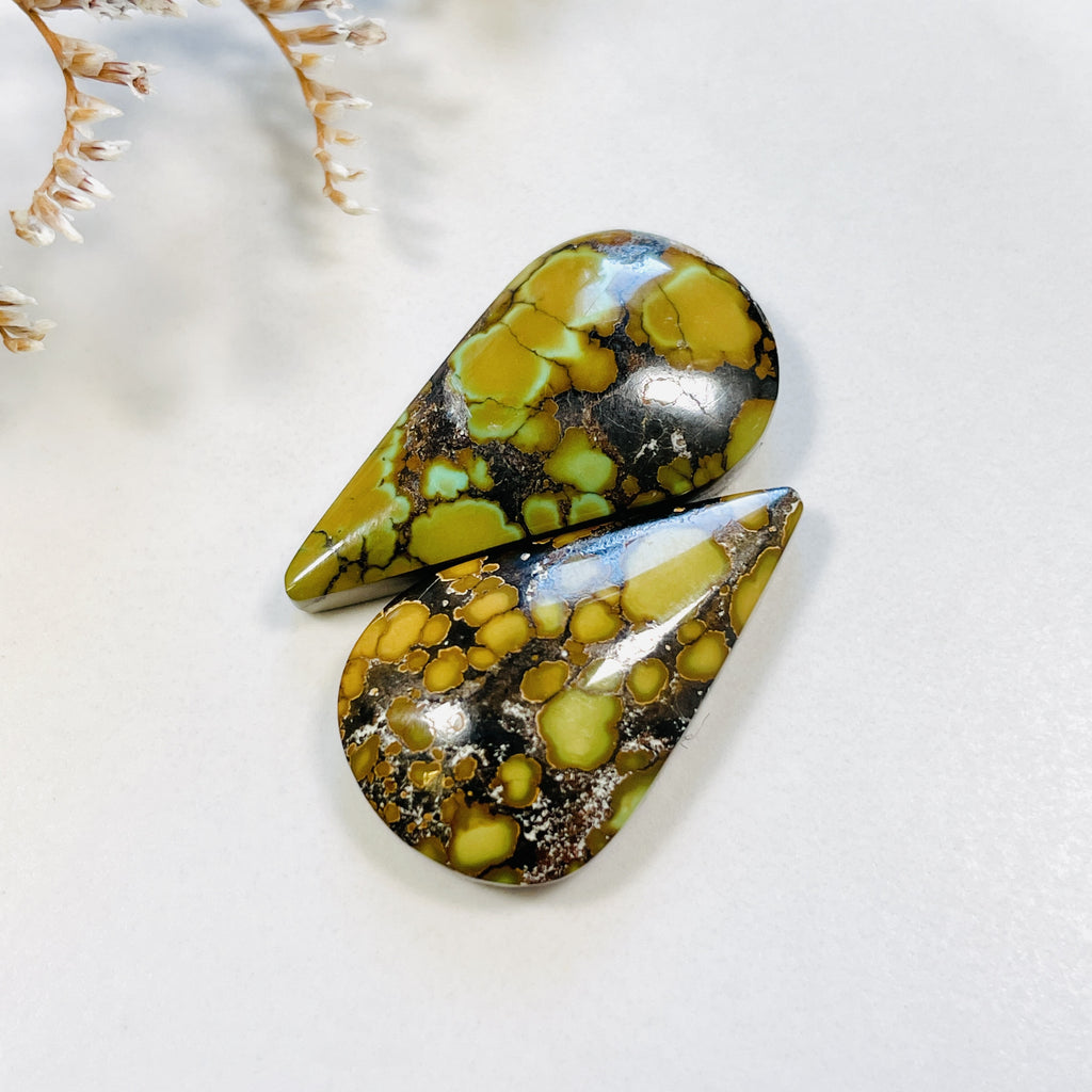 Medium Earth Brown Teardrop Treasure Mountain Turquoise, Set of 2