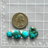 Small Sky Blue Freeform Number 8 Turquoise, Set of 4 Dimensions
