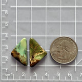 Medium Sea Green Triangle Crescent Lake Variscite, Set of 2 Dimensions