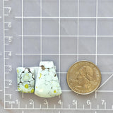 Large Faint Blue Mixed Sand Hill Turquoise, Set of 2 Dimensions