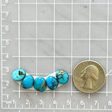 Small Sky Blue Freeform Paiute Turquoise, Set of 5 Dimensions
