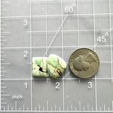 Small Faint Green Mixed Crescent Lake Variscite, Set of 2 Dimensions