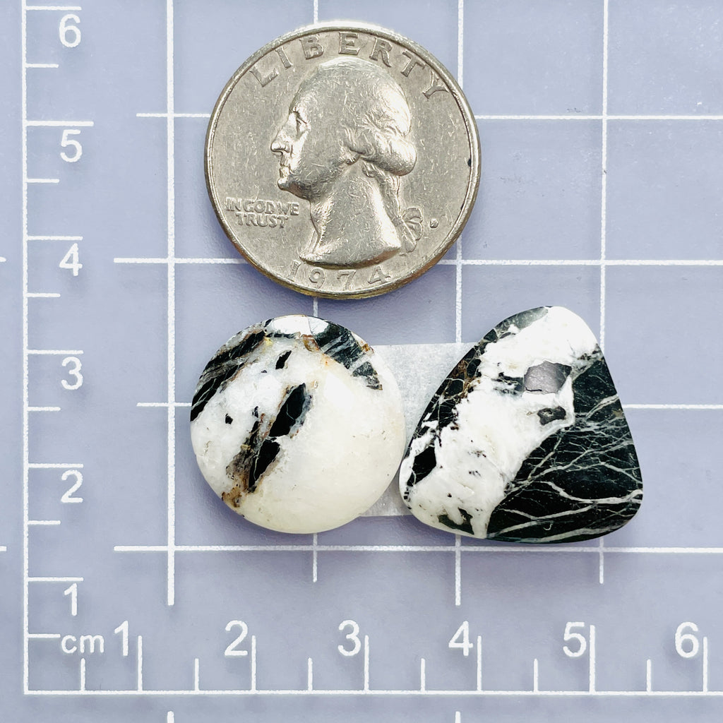 Medium Mixed Mixed White Buffalo Dolomite, Set of 2 - Turquoise Moose