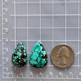 Bamboo Green Bamboo Mountain Turquoise Top Drilled Briolette