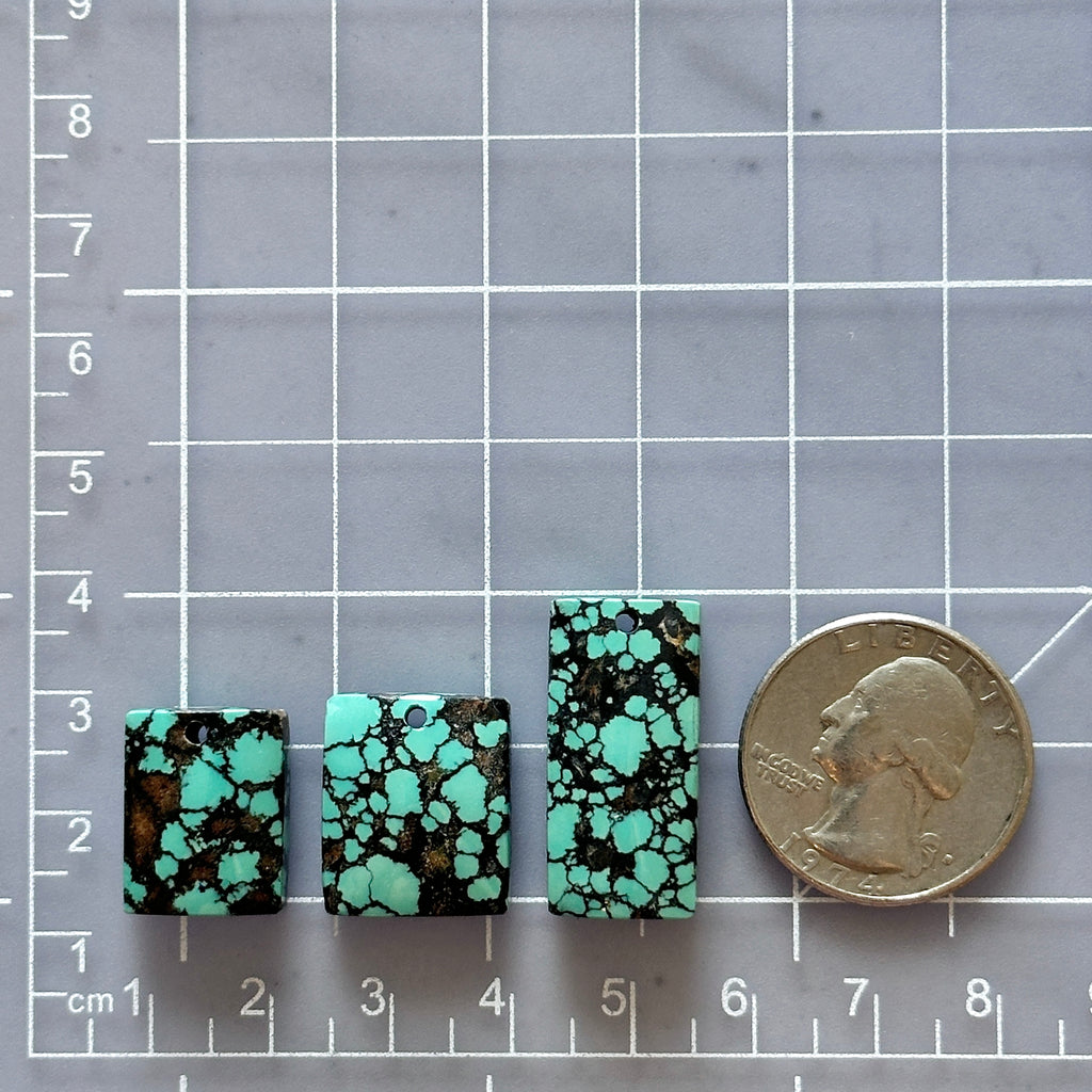 Mint Green Bamboo Mountain Turquoise Top Drilled Briolette