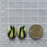 Medium Sea Green Oval Crescent Lake Variscite, Set of 2 Dimensions