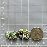 Medium Mint Green Mixed Treasure Mountain Turquoise, Set of 4 Dimensions